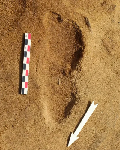 TerapeutyczneMruczenie - Neanderthal footprints found in France offer snapshot of the...