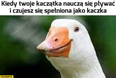 sezonowiec1 - ( ͡° ͜ʖ ͡°)