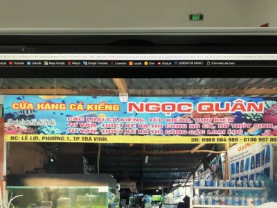 S....._ - @fajfoklok: prawdę mowię, kupione w tym sklepie. Mieszkam w Wietnamie