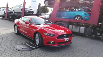 superduck - Ford Mustang GT - VI generacji
5,0l V8 421 KM
0-100 km/h - 4,8s

Pierwsza...