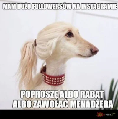 majsterV2 - #heheszki #humorobrazkowy #polakicebulaki #karyna #instagram #plebs #beka...