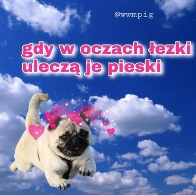 t.....o - @Karnyfejs: proszę.