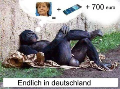 ilem - #heheszki #niemcy #polityka