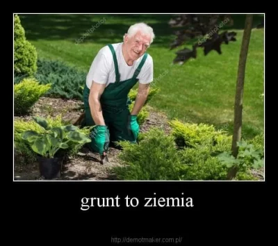 LadyRaspberry - ziemia to grunt.
#heheszki #humorobrazkowy #hanuszki