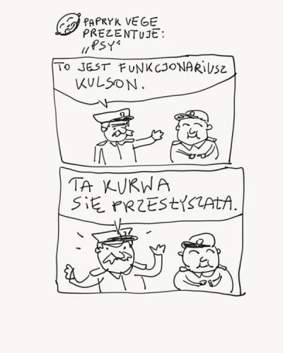 Zdejm_Kapelusz - #humorobrazkowy #polska #policja