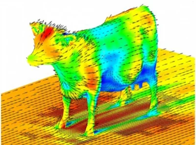 acidd - pewnie zastanawialiście się jak wygląda model aerodynamiczny krowy...
#nauka