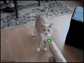 wojtekmaj - No mireczki, oto pierwszy plusikowy GIF mojego autorstwa. Dawać plusy ( ͡...