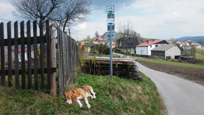 atizylak - 1025265 - 130 = 1025135

Fajna trasa , polecam. Choć lepiej po Czechach ...