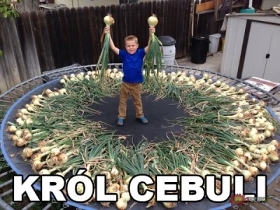 Lord_Hunter - #krul #cebula #cebulacontent #cebulandia ( ͡° ͜ʖ ͡°)