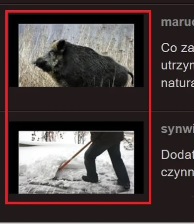 Ziomekzpoziomek - #hahaha #smieszne #polaczenie #obrazek

co to za stwór?