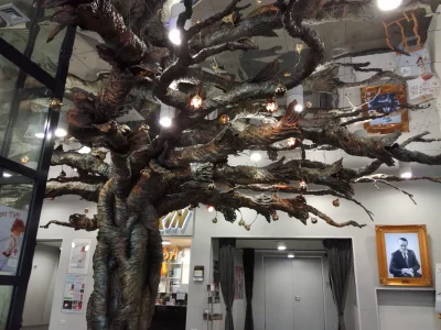 ksaler - Mało kto wie, ale w Teatrze Arlekin można spotkać takie oto magiczne drzewo,...