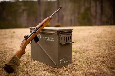 Rogue - #gunboners #bron #projektdedal

Karabinek na amunicję pośrednią, USA Army M1 ...