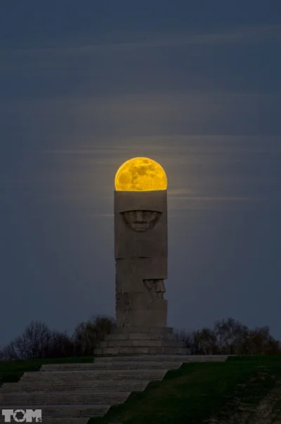 Zwiadowca_Historii - Niezwykłe i śliczne zdjęcie z pola bitwy pod Grunwaldem! 
Autor...