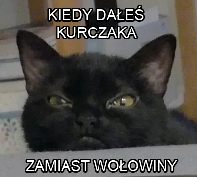 airflame - #koty #kot #heheszki #pokazkota #meme ##!$%@? #wołowina #kurczak #koteczki...