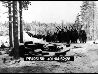 starnak - FINLAND FIGHTS! (1941) - WINTER WAR BETWEEN SOVIET RUSSIA & FINLAND 25150