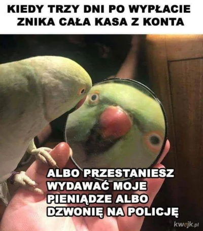 ColdMary6100 - Dziś dopiero czternasty a już się hajs nie zgadza
#takaprawda #hehesz...