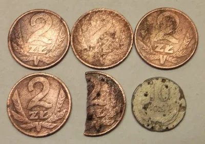 Altru - #monety #numizmatyka 

Zakopałem 2 monety (50gr i 2gr) w ziemi.
20gr zalaz...