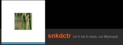 snkdctr - @Soczi: No elo ( ͡° ͜ʖ ͡°)ﾉ⌐■-■