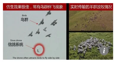 sekurak - Chińskiego szpiegowskiego drona-gołębia nie odróżniają nawet prawdziwe gołę...