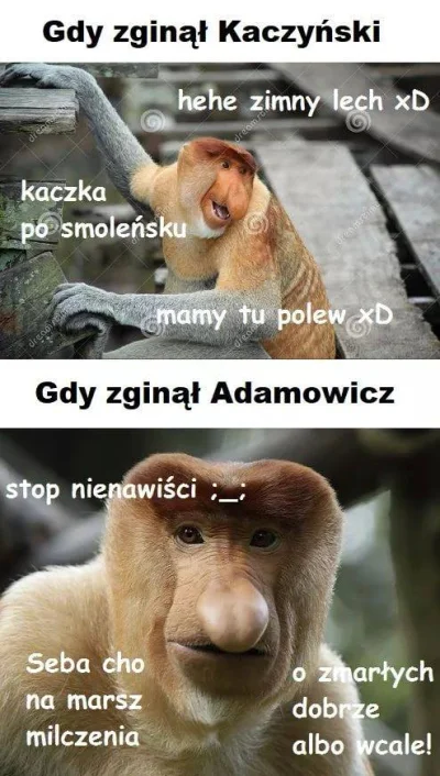 Heexi - #bekazpolaczkow #Polak