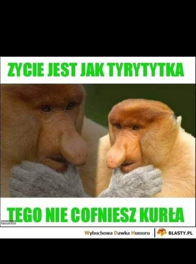 mistrz_zen - Mnie śmieszy
#nosaczsundajski #memy #heheszki #humorobrazkowy