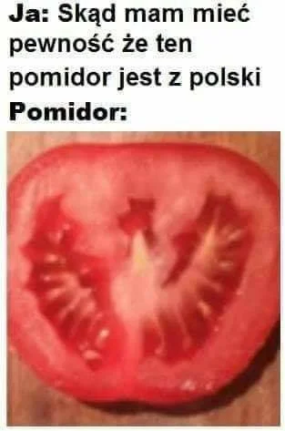 zonabola - #heheszki #iksde #polska #pomidory