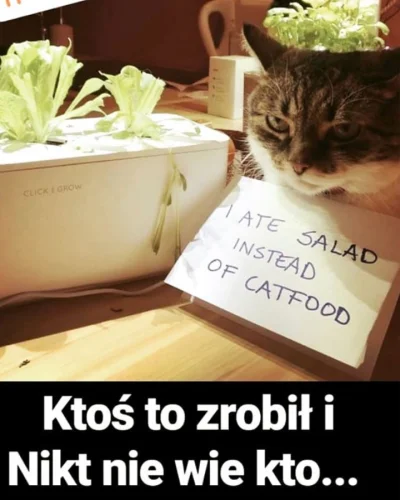 SmartGarden - Hej #wy znowu się spotykamy! ( ͡° ͜ʖ ͡°)
Podczas ostatniej imprezy, do...