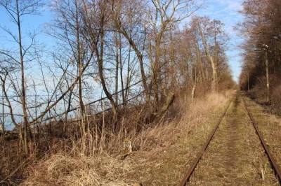 Fevx - Stracony potencjał, czyli tzw. Kolej Nadzalewowa (Linia kolejowa nr 254), po n...