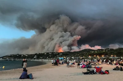 Mesk - Tegoroczne pożary we Francji: