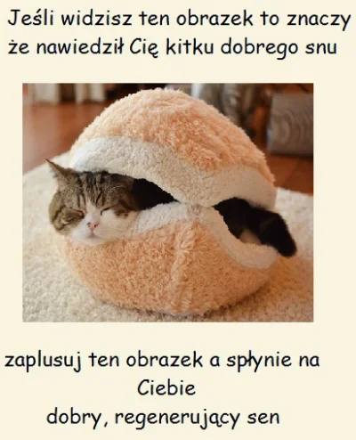 kamisan - #heheszki #kitku #koty #smiesznekotki #dobranoc