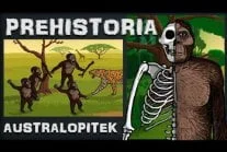 WuDwaKa - Drugi odcinek o Australopitek - Chodząca "Małpa" - Prehistoria - Odc.2 - Hi...