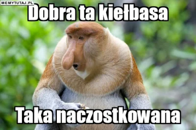 PawelW124 - #humor #heheszki #memy #polak #nosacz #nosaczsundajski