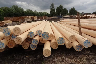 jakub-dolega - A teraz zadzwońcie do firmy robiącej słupy drewniane, że macie idealne...