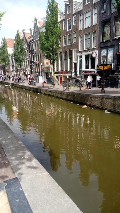 gc89 - @bolorollo tak wyglądają kanały w Amsterdamie byłem tam dwa tyg. temu wątpię ż...
