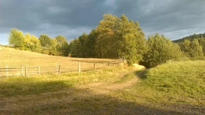 shusty - Małe przypomnienie dla mirków z #tylkoszosa . Otrząśnijcie się czasem z "zom...