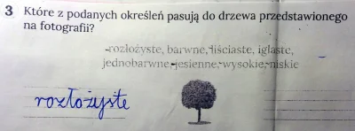 MarCas - Pomocy! Córka (kl. 2 szkoły podstawowej) dostała zadanie domowe. Czy drzewo ...