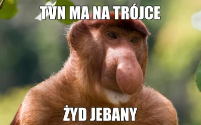 zezz - #polak #tvn #heheszki #humorobrazkowy