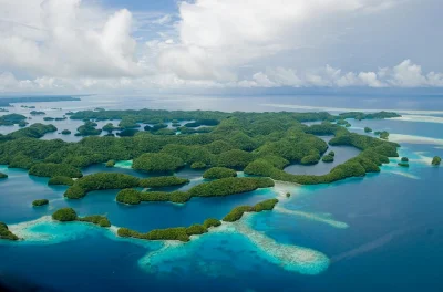 Sensitive - Rock islands, Palau


 Republika Palau to państwo położone w zachodniej c...
