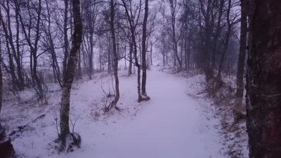 Serchio - Tak strzeliłem zdjęcie, ale bardzo mi się podoba - okolice jeziora Prestvan...