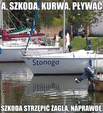 d.....k - Ktoś wie co się dzieje z naszym mistrzem? ( ͡° ͜ʖ ͡°) #stonoga #zbigniewsto...