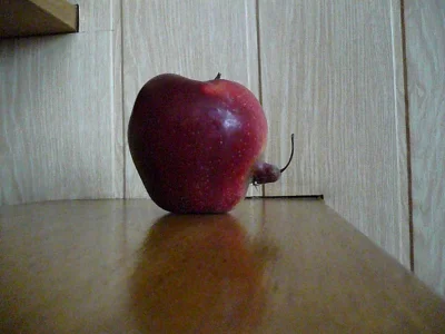 siodemkaxx - #ogrodnictwo #jablka #jedzjablka #rolnictwo fajne jabłko ?( ͡° ͜ʖ ͡°)