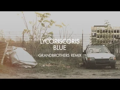 NietuzinkowyStefan - Lycoriscoris - Blue (Grandbrothers Remix) 

#muzykaelektronicz...