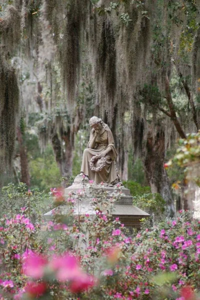 Castellano - Cmentarz Bonaventure 
Savannah. Georgia
#architektura #fotografia #cas...