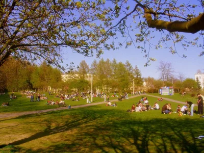 pogop - Miasteczko akademickie Kortowo, Olsztyn 24 kwietnia 2008 r. 

#oswiadczenie...