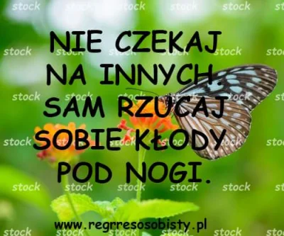 zlote-golabki-winiego - #przegryw #heheszki #humorobrazkowy