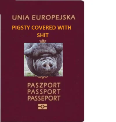L.....8 - @ziaba: nowe paszporty już w druku