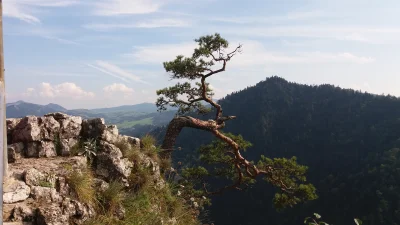 Kwassokles - @v3rt: szanuje moja ulubiona miejscówka w Polskich górach.