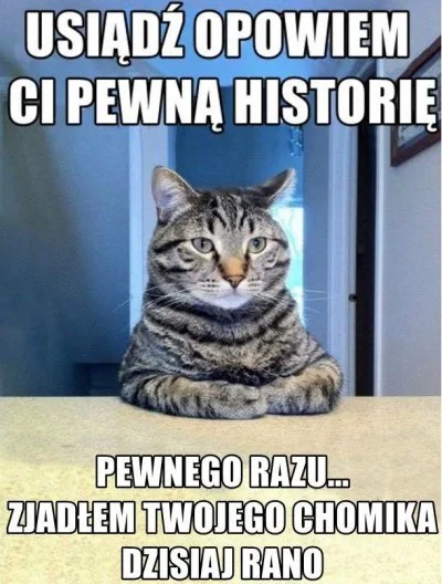 P.....r - #koty #kotnadobranoc #humorobrazkowy #heheszki