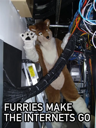 wytrzzeszcz - #internet #furry #fursiut #it 
i co łyso ?