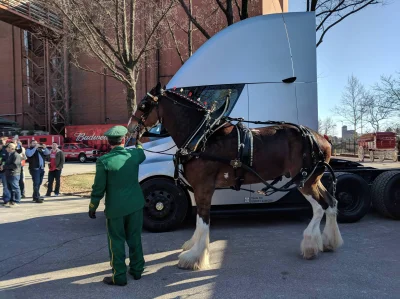 J.....I - #ladnykonik #konie
#teslasemi 
#tesla